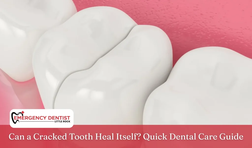 Can a Cracked Tooth Heal Itself Quick Dental Care Guide