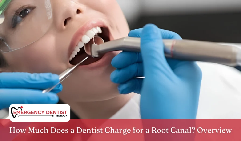 How Much Does a Dentist Charge for a Root Canal_ Overview