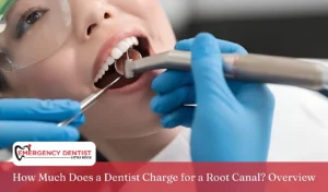 How Much Does a Dentist Charge for a Root Canal_ Overview